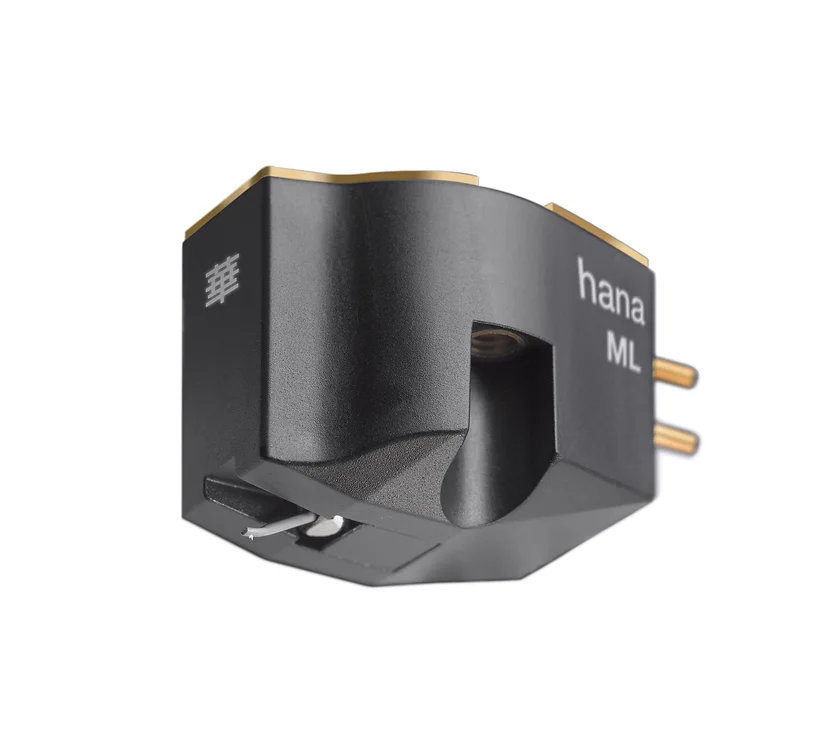 Cellule Hana ML