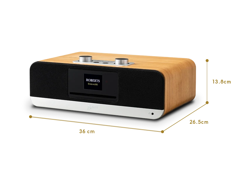 Roberts Blutune 300