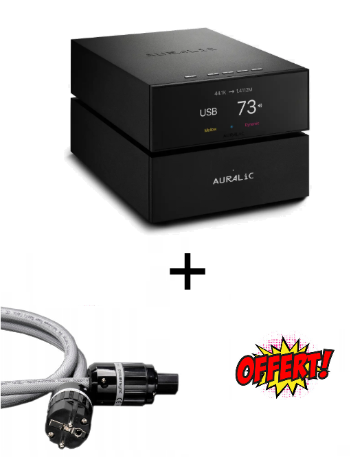 Pack : Auralic VEGA S1 + Auralic S1 LPSU + Cable secteur Gigawatt Power Sync Plus 1.5m