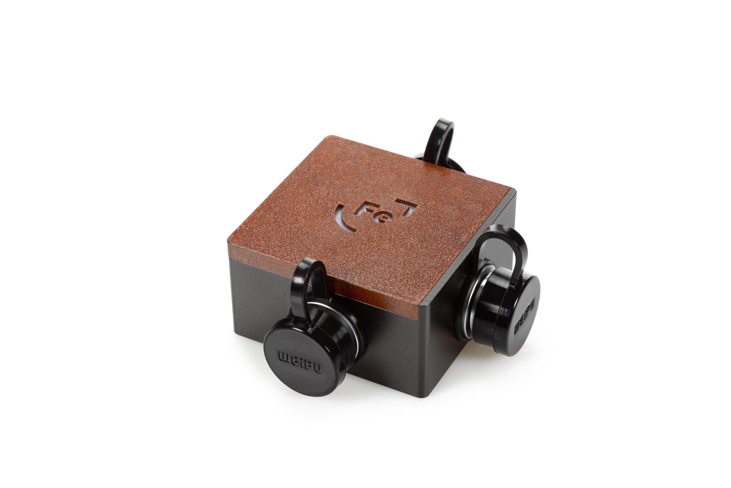 Ferrum Wandla GoldenSound Edition + alimentation Hypsos