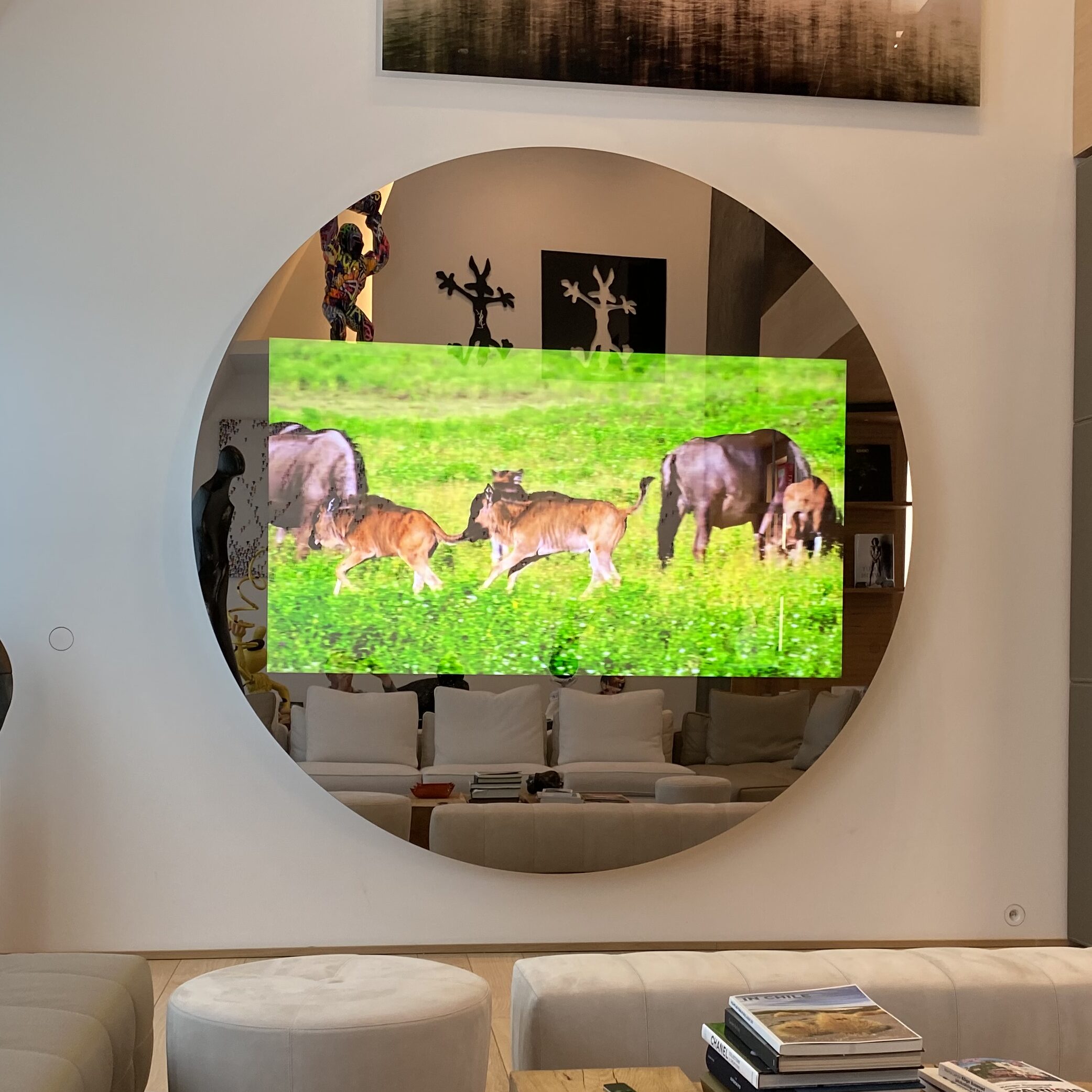 Télévision Miroir : Technologie et Esthétique - Home-acoustique